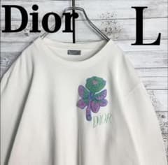 美品・Lサイズ】Dior パイルロゴ 刺繍 ロングtシャツ白 コラボ - メルカリ