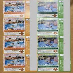 東京サマーランド 招待券 1Dayパス 9枚 東京サマーランド 1Dayパス ご招待券 優待券（内春秋限定含む）12枚