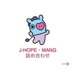 BTS tinytan bt21 J-HOPE·MANG 포장(20점)