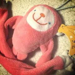 モンキーボディスポンジのサムネイル