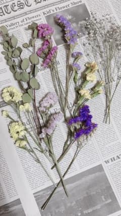 ドライフラワー花材セット8種類のサムネイル