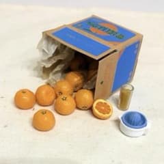 リーメント ふるさと産地直送便 ③愛媛県産いよかん ミニチュア 欠品ありのサムネイル