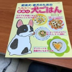 肥満犬・老犬のためのヘルシー手作り犬ごはんのサムネイル