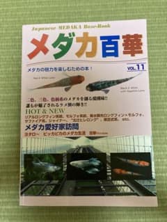 メダカ百華 VOL.11のサムネイル
