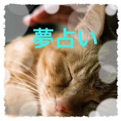 夢占い〜潜在意識からのメッセージ〜のサムネイル