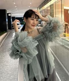 カナ様専用　decorative tulle tops デコラティブチュールのサムネイル