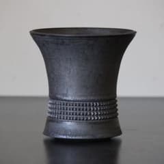 spicygem 鶴仙園 トリプルネーム 大鉢 Lサイズ spicygem 鶴仙園 トリプルネーム 大鉢 Lサイズ - メルカリ