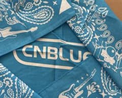 CNBLUE 3LOGY BANDANAver ヨンファ - メルカリ
