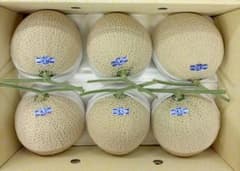 今が旬！高知県産 温室マスクメロン 6玉入り ○秀 約10.2㎏（箱込み