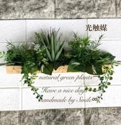 光触媒　ウォールグリーン フェイクグリーン　壁掛け　リース　観葉植物のサムネイル