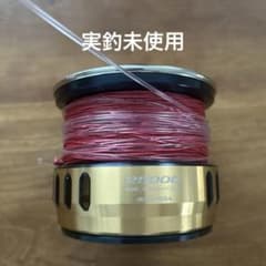 DAIWA SALTIGA 25000 slpworks スプール ほぼ未使用 - メルカリ