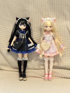 m14801077882_1.jpg?1775352917