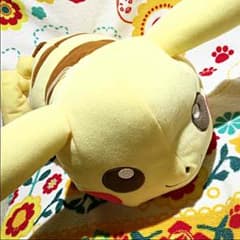 【ピカチュウ】ぬいぐるみ＆ファイルセットのサムネイル