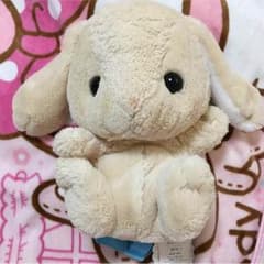 Ri様 専用ぽてうさろっぴーのサムネイル