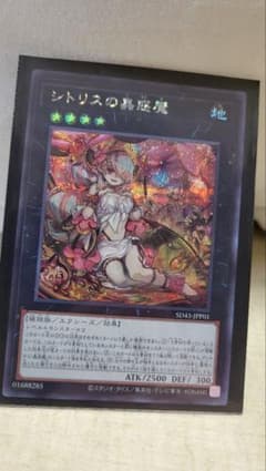シトリスの蠱惑魔　遊戯王のサムネイル