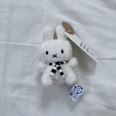 m14816931069_1.jpg?1719824894