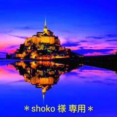 shoko様 専用です♪のサムネイル