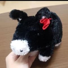 ぬいぐるみ　アグー豚のサムネイル