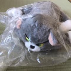 톰과 제리 이치 반 쿠지 A 상