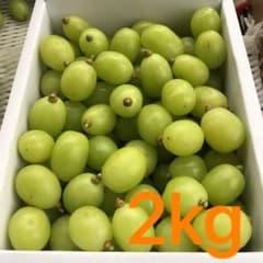 山形県産　シャインマスカット　2kg  訳ありのサムネイル
