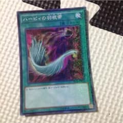 ハーピィの羽根箒のサムネイル