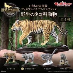 いきもの大図鑑 ネコ科のサムネイル