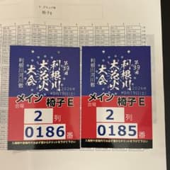 第39回 利根川大花火大会 チケット 椅子E席 2枚セット 境町のサムネイル