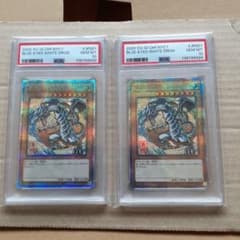 PSA10 青眼の白龍 浮世絵 ブルーアイズ 25th 【連番】 - メルカリ