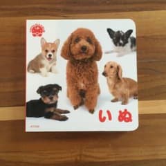 絵本 いぬ  てのひらしゃしんえほん③のサムネイル