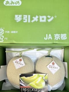 京都「琴引メロン」とびっきり「絹」で　絹3L 京都「琴引メロン」とびっきり「絹」で 絹3L - メルカリ