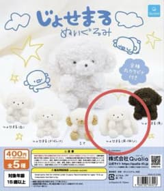 じょせまる ぬいぐるみ ガチャ 耳伸びのサムネイル
