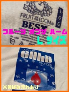 80’s 90’s アメリカ　古着　フルーツオブザルームのサムネイル
