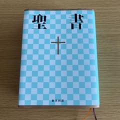 聖書 新共同訳 チェック柄 水色のサムネイル