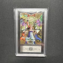 最終値下げ】ARS10+ SDVA-003 GDR ゴジータ - メルカリ