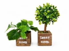 爬虫類 人工観葉植物 レイアウト素材 2点セットのサムネイル