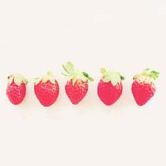 えいとふぉー様 専用のサムネイル