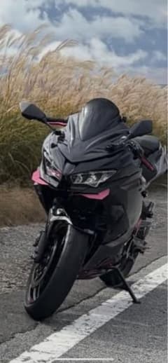 NINJA400/NINJA250 CNCアルミ フロントウィングレッド 新品のサムネイル