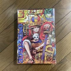 週刊少年ジャンプ 2023年25号 ワンピース - メルカリ