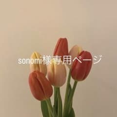 sonomi様専用ページのサムネイル