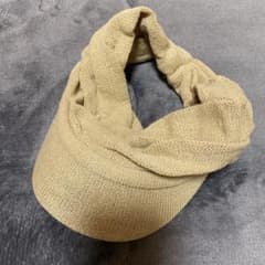 試しかぶりしただけですのサムネイル