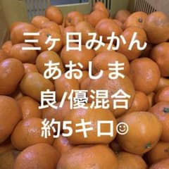 三ヶ日みかん　あおしま　約5キロのサムネイル