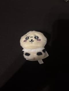 치이카와 라코 선생님