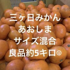 三ヶ日みかん　あおしま　良品約5キロのサムネイル