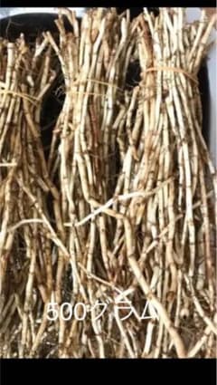 新鮮なドクダミの根 (鱼腥草根 )500gのサムネイル