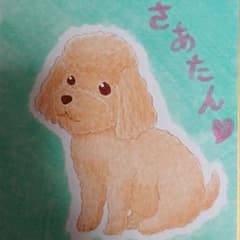 くみちゃん様ご確認ページ✨のサムネイル