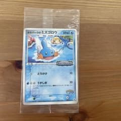 ポケパークのミズゴロウ プロモ 048/PCG-P ポケモンカード 未開封