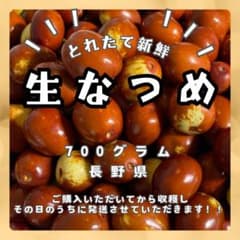 なつめ　生なつめ　700グラム 長野県のサムネイル