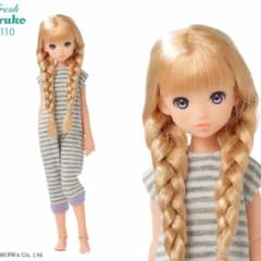 Fresh ruruko 2110　PetWORKSのサムネイル