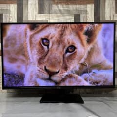 全国送料込❣️サンライズ50型4K地デジBSCSテレビWチューナー外付HDD録画可 全国送料込❣️サンライズ50型4K地デジBSCSテレビWチューナー外付HDD