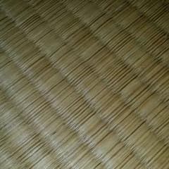 けんさませんようのサムネイル